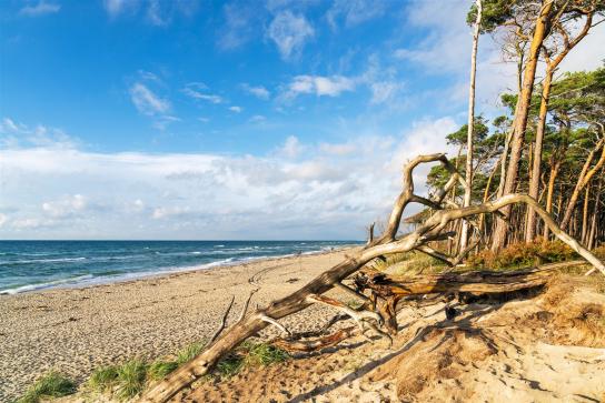 natrubelassener Strandabschnitt